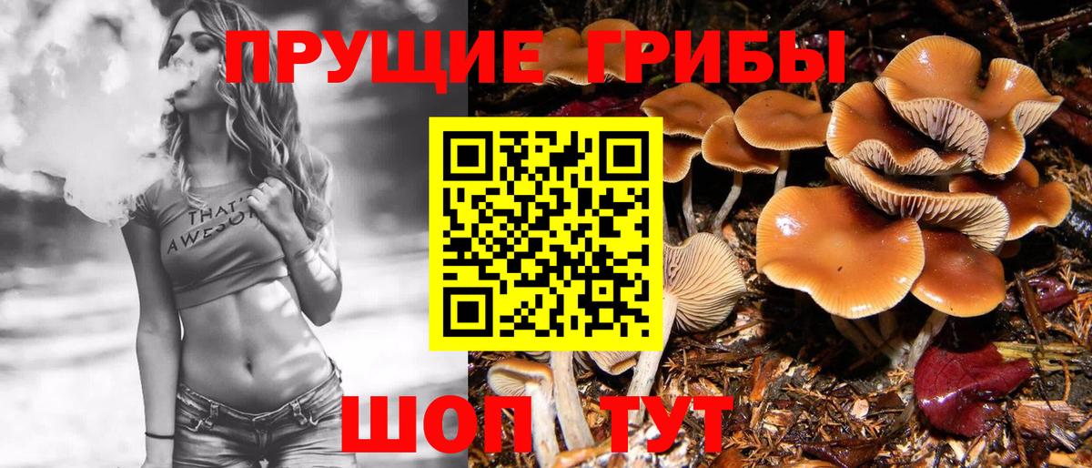 Псилоцибиновые грибы GOLDEN TEACHER Елабуга